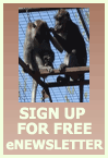 Free eNewsletter