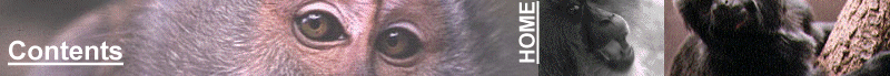 Mindy's Memory Primate Sanctuary